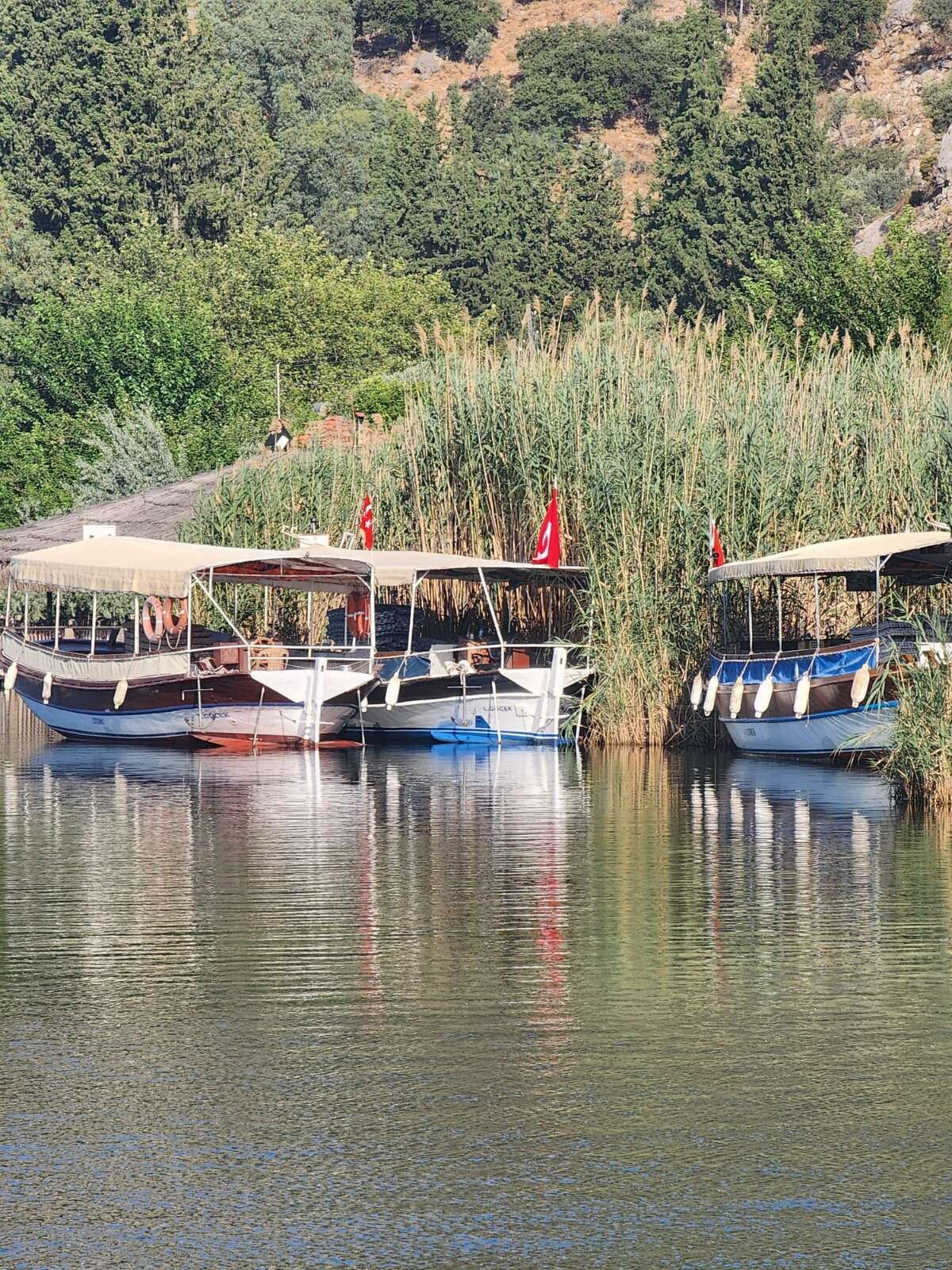 Muğla’da Feribot Hatları, Otoparklar ve Reklam Alanları İhaleye Çıkıyor 2